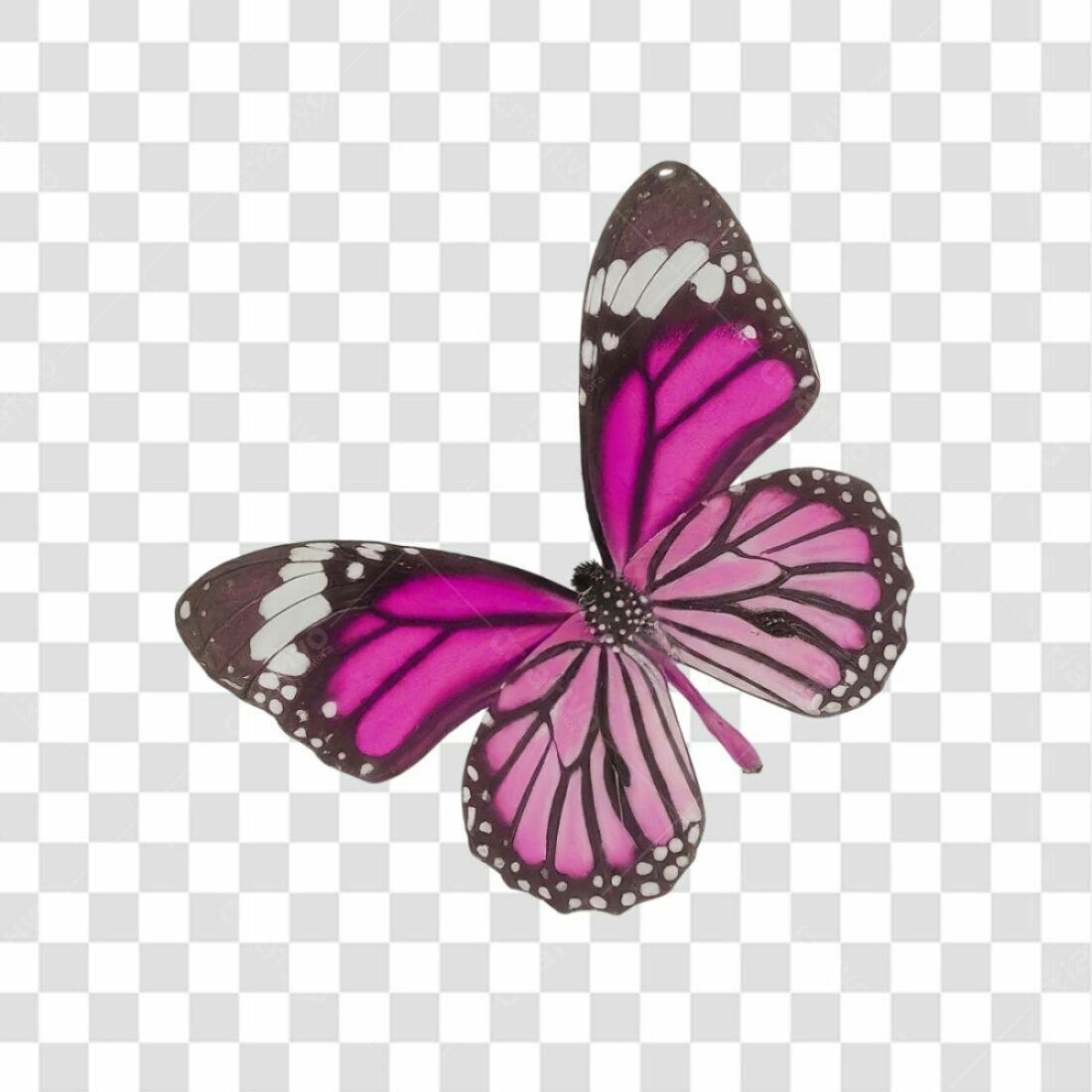 Icone Borboleta Rosa PNG com fundo transparente