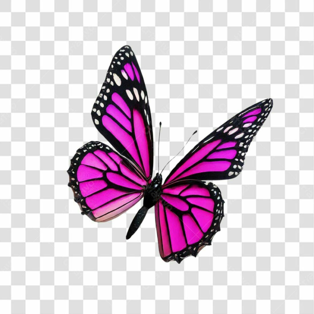 Icone Borboleta Rosa PNG com fundo transparente