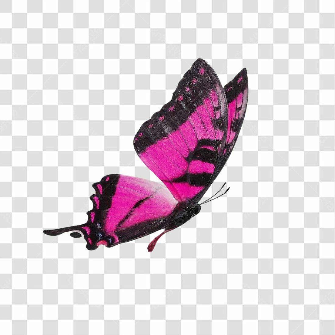 Icone Borboleta Rosa PNG com fundo transparente