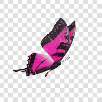 Borboleta rosa voando png transparente