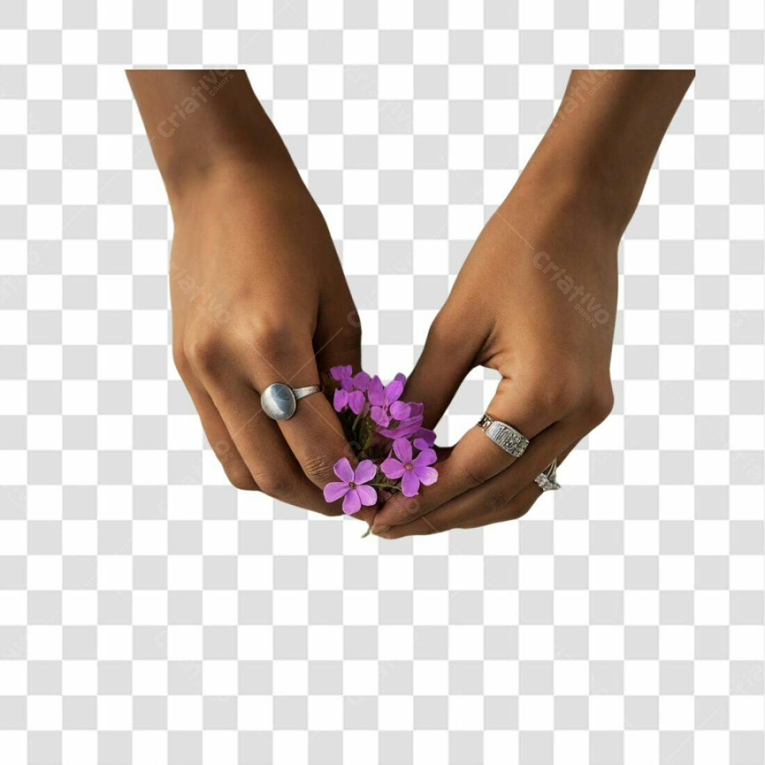 Imagem PNG com fundo transparente Mãos com flores roxas