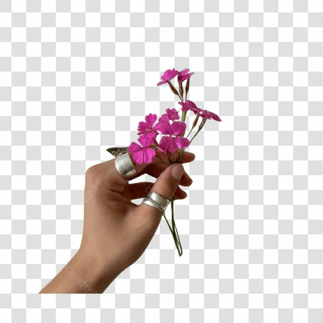 Imagem mão com flores PNG com fundo transparente