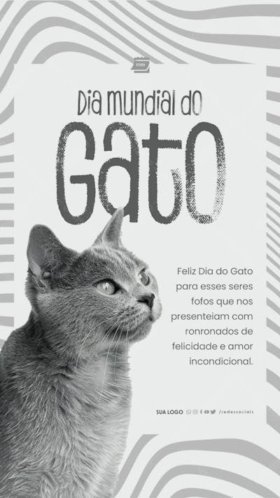 Story   Dia Mundial Do Gato   Felicidade E Amor