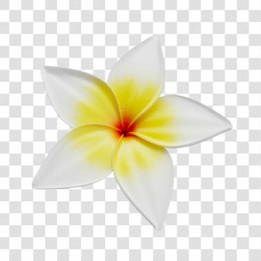 Asset 3d flor tropical plumeria flor verão dia das mães dia da mulher com fundo transparente