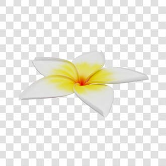 Asset 3d flor tropical plumeria flor verão dia das mães dia da mulher com fundo transparente