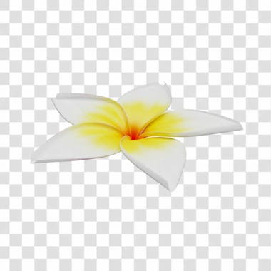 Asset 3d flor tropical plumeria flor verão dia das mães dia da mulher com fundo transparente