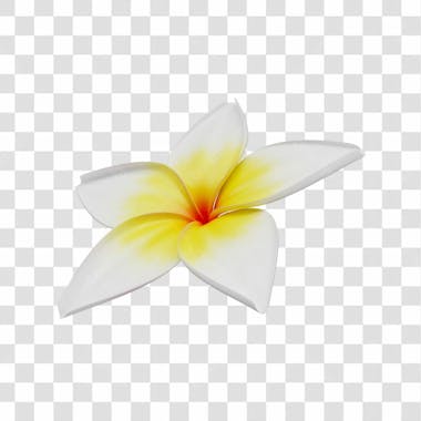 Asset 3d flor tropical plumeria flor verão dia das mães dia da mulher com fundo transparente