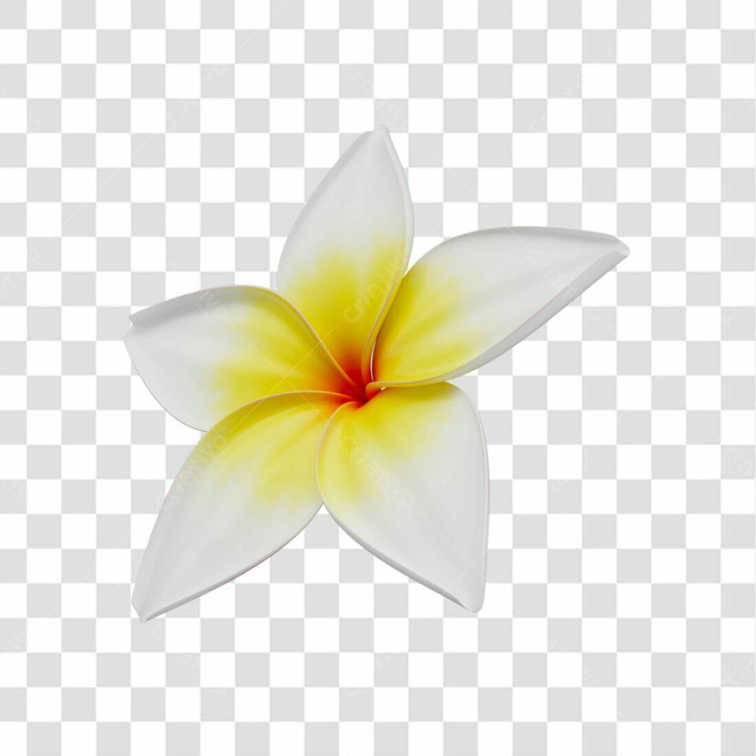 Icone Flor Frangipani PNG com fundo transparente