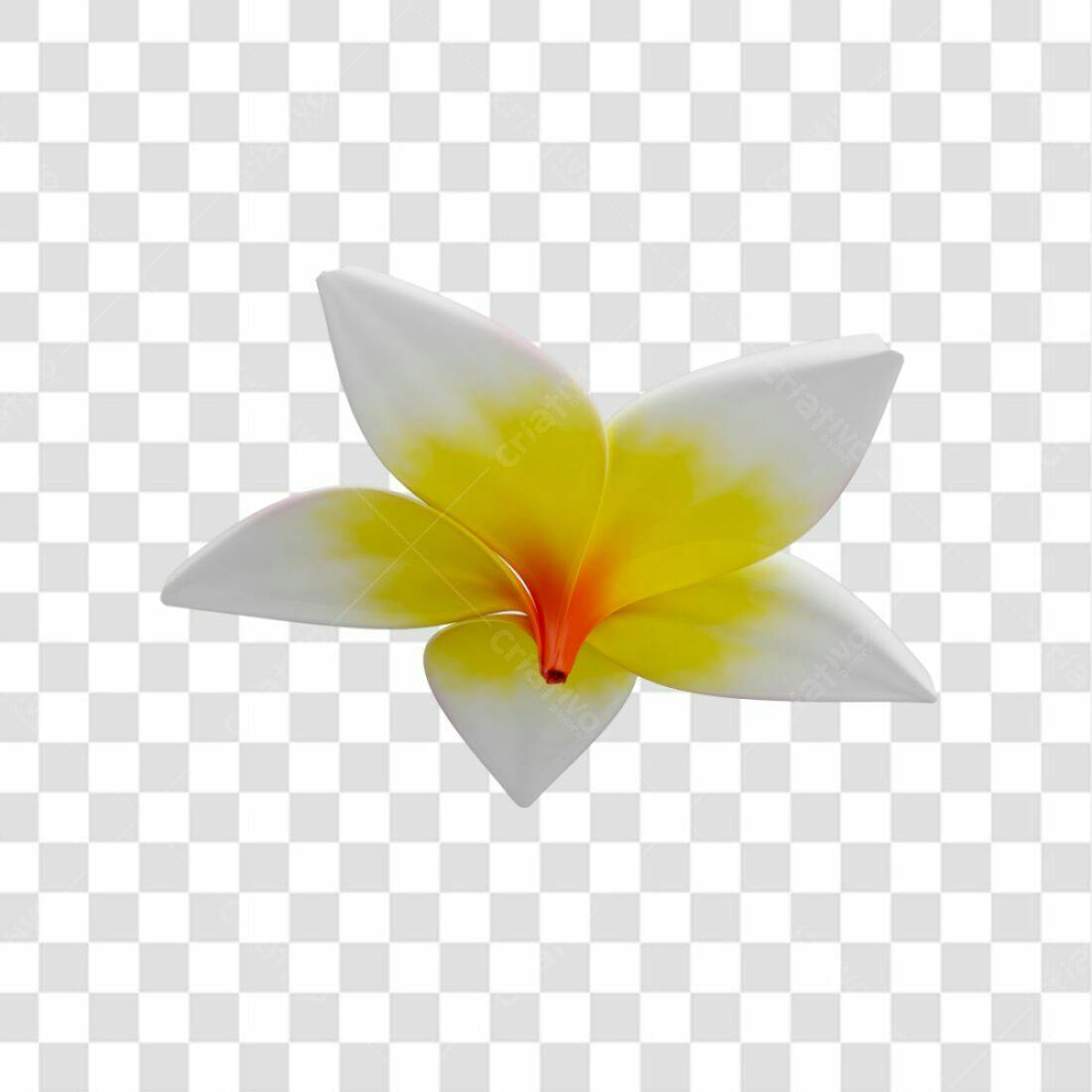 Icone Flor Frangipani PNG com fundo transparente