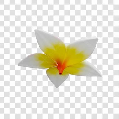 Asset 3d flor tropical plumeria flor verão dia das mães dia da mulher com fundo transparente