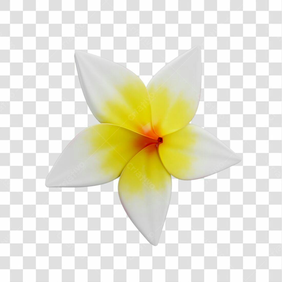 Icone Flor Frangipani PNG com fundo transparente