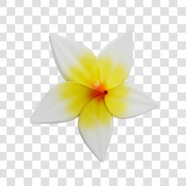 Asset 3d flor tropical plumeria flor verão dia das mães dia da mulher com fundo transparente