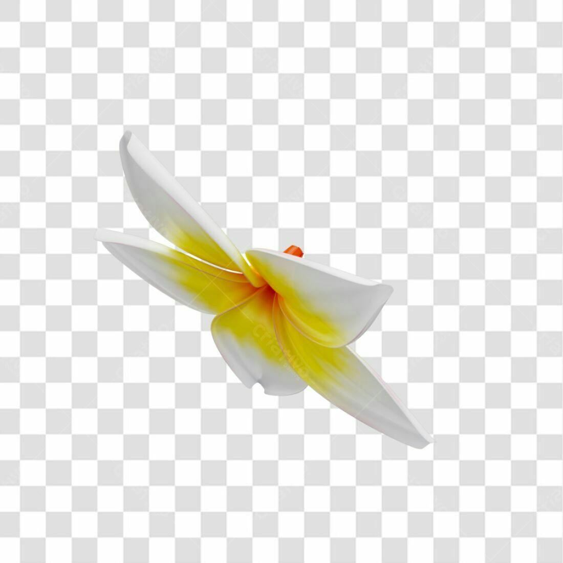Icone Flor Frangipani PNG com fundo transparente