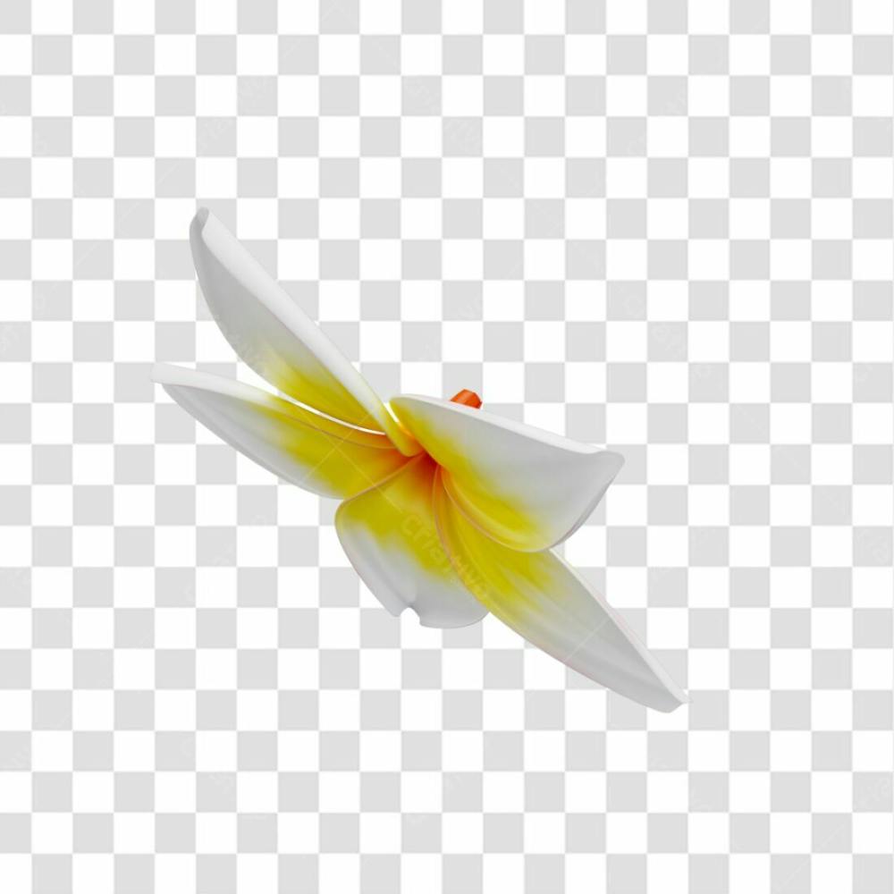 Asset 3D Flor Tropical Plumeria Flor Verão Dia Das Mães Dia Da Mulher Com Fundo Transparente (6)