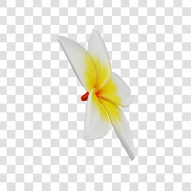 Asset 3d flor tropical plumeria flor verão dia das mães dia da mulher com fundo transparente