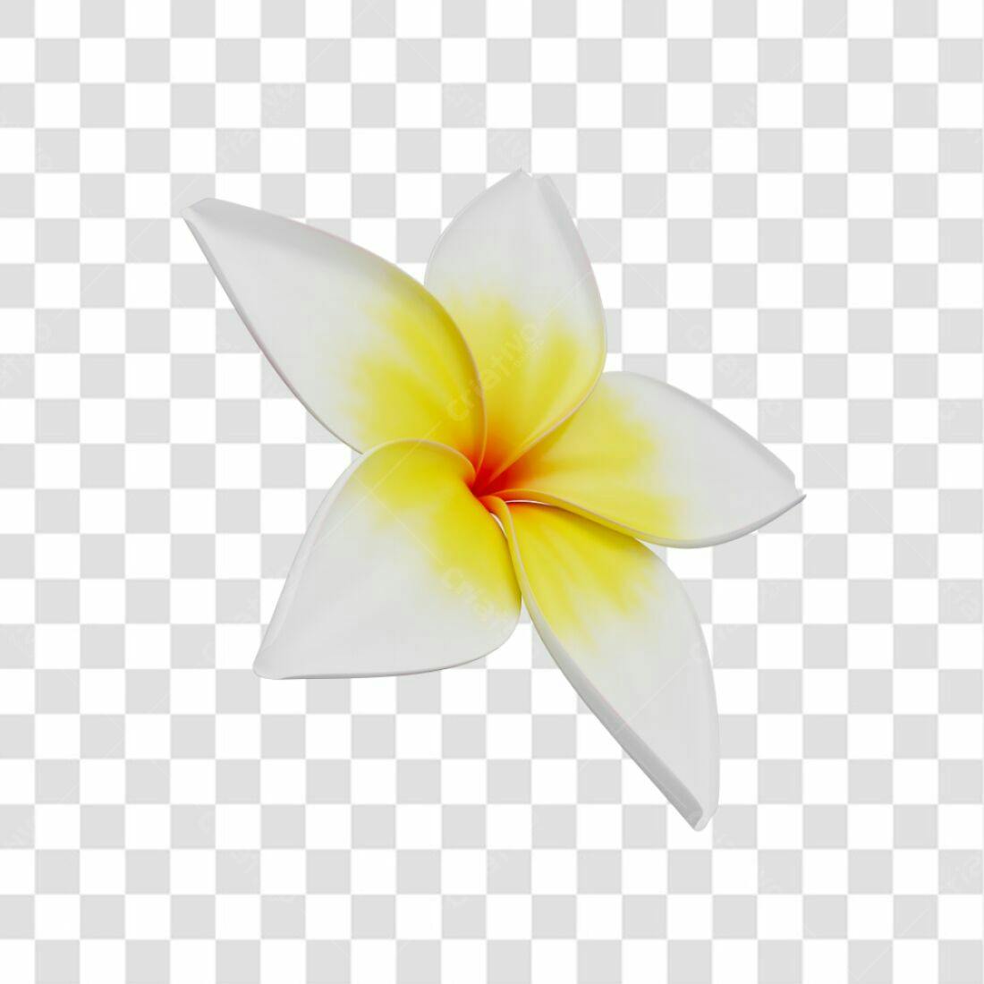 Icone Flor Branca e Amarela PNG com fundo transparente