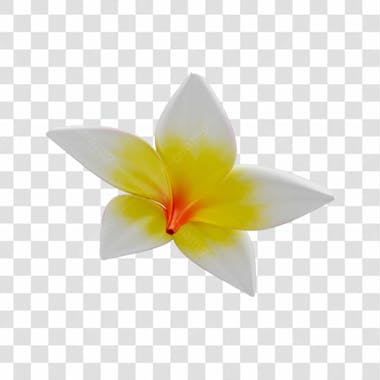 Asset 3d flor tropical plumeria flor verão dia das mães dia da mulher com fundo transparente