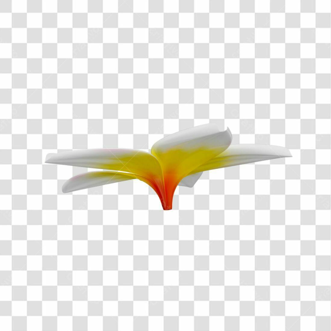 Icone Flor Frangipani PNG com fundo transparente
