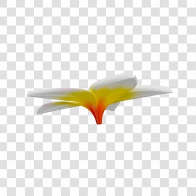 Asset 3D Flor Tropical Plumeria Flor Verão Dia Das Mães Dia Da Mulher Com Fundo Transparente (2)