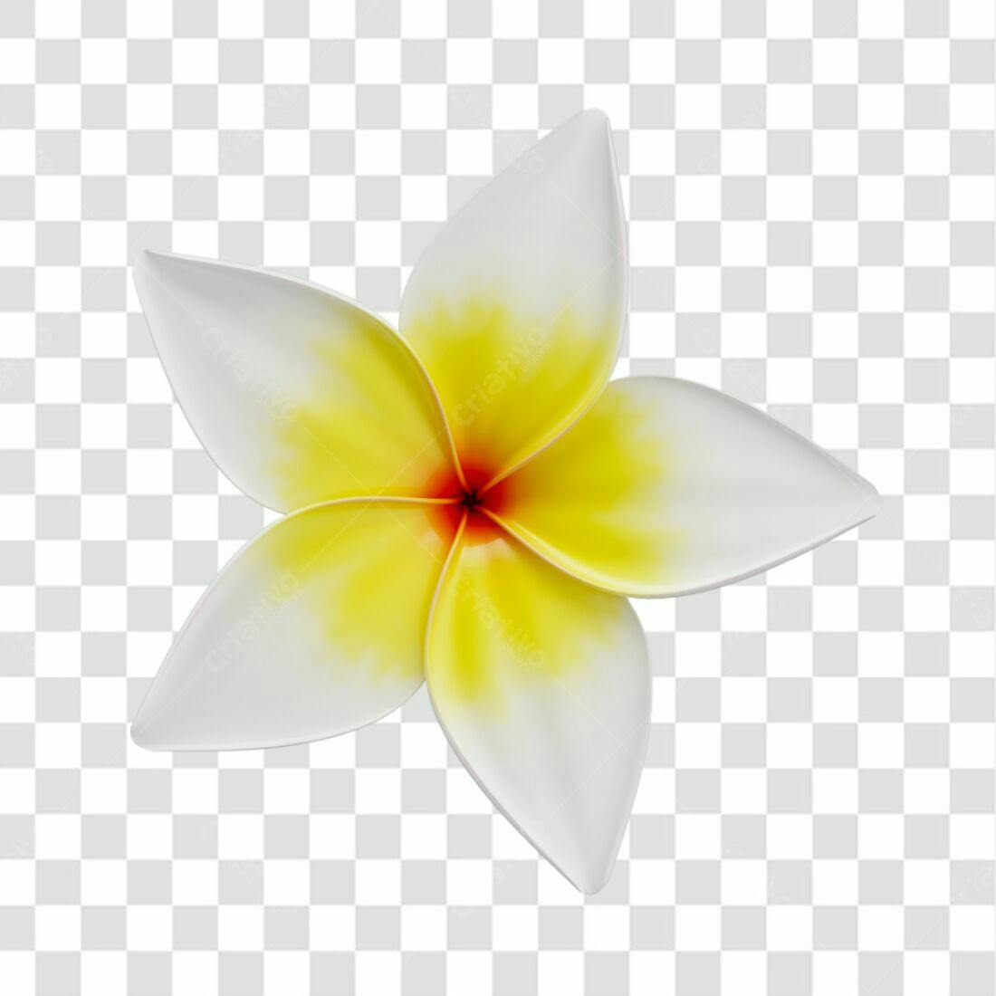 Icone Flor Frangipani PNG com fundo transparente