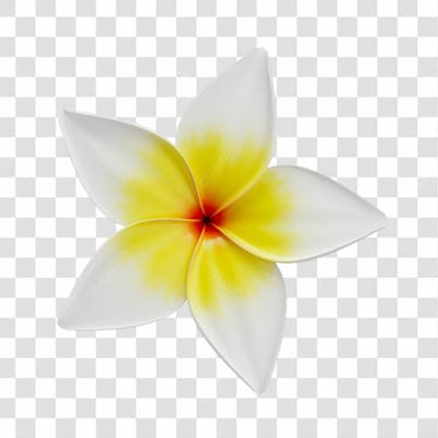 Asset 3D Flor Tropical Plumeria Flor Verão Dia Das Mães Dia Da Mulher Com Fundo Transparente (1)
