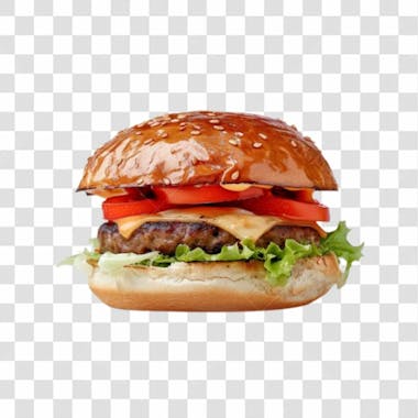 Hamburguer artesanal png transparente