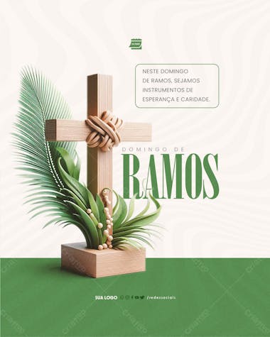 Social media domingo de ramos instrumento de caridade e esperança