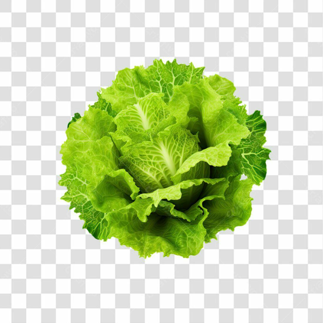 Icone Alface Verde PNG com fundo transparente