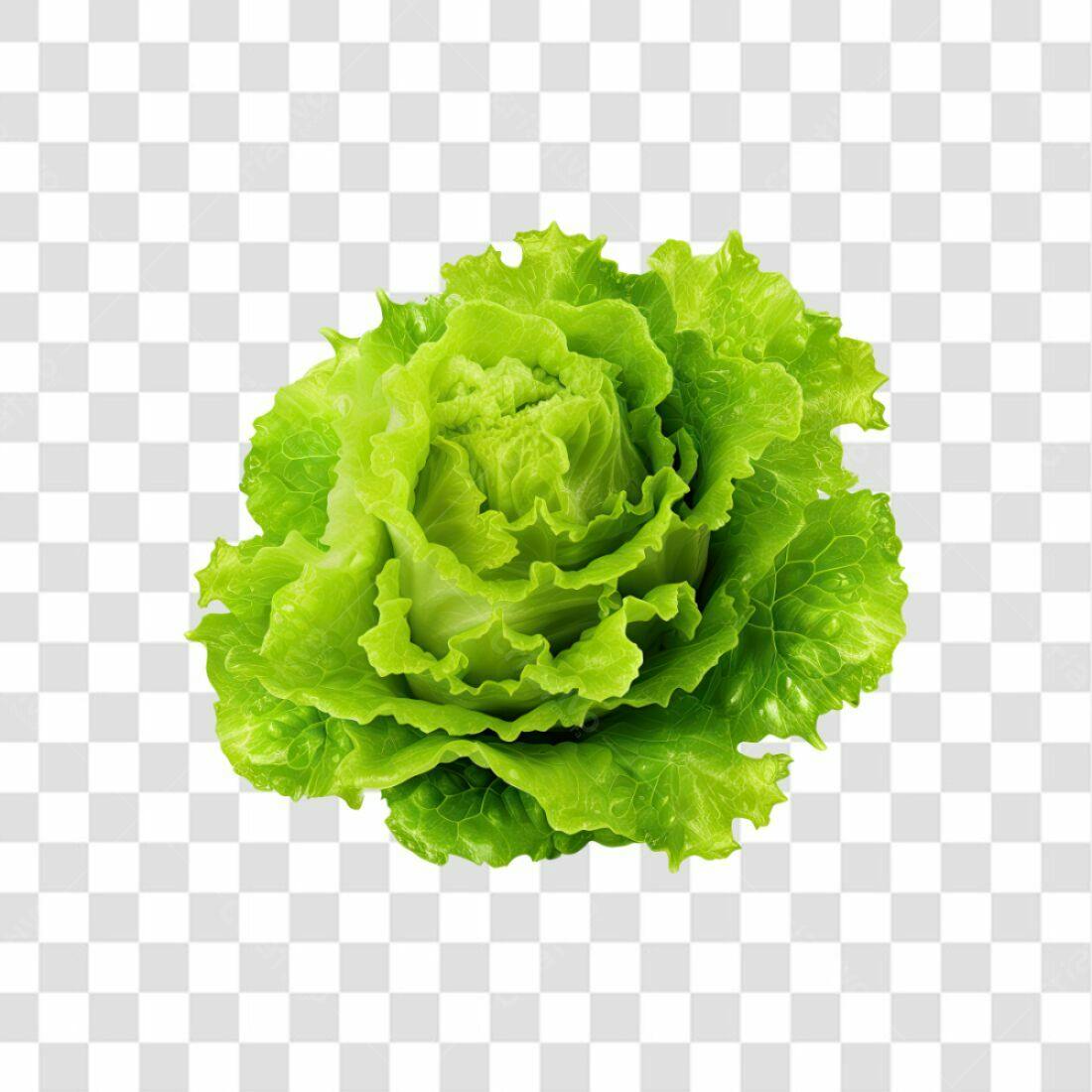 Icone Alface Fresca PNG com fundo transparente
