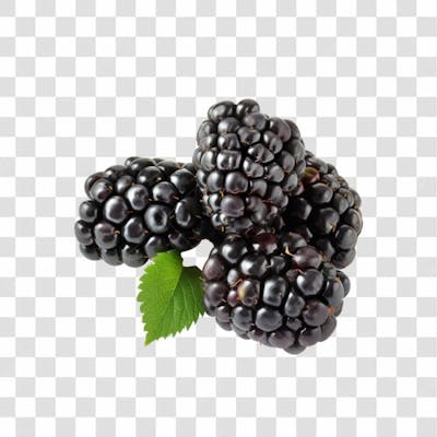 Imagem   Hortifrutti   Amora Com Fundo Transparente (1)