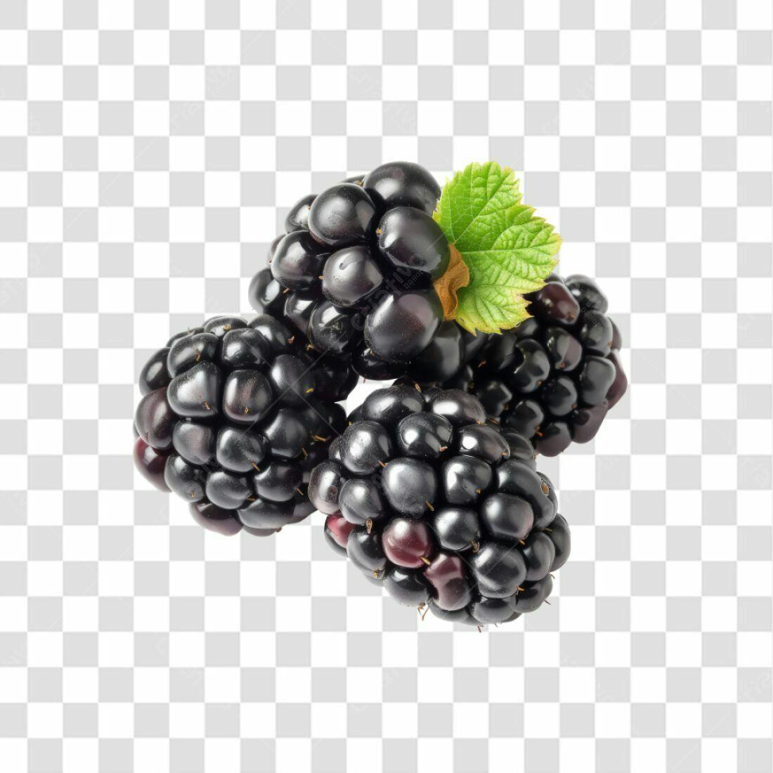 Icone de Amora PNG com fundo transparente
