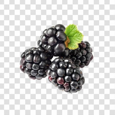 Imagem   Hortifrutti   Amora Com Fundo Transparente (2)
