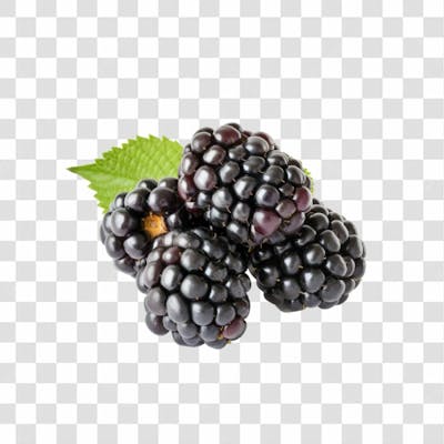 Imagem   Hortifrutti   Amora Com Fundo Transparente (3)