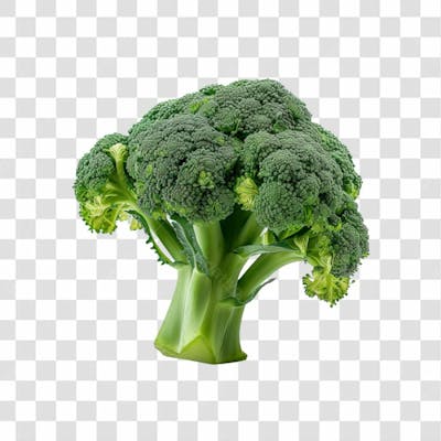 Imagem Hortifrutti Brócolis Com Fundo Transparente