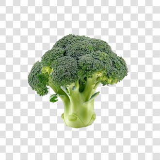 Imagem hortifrutti brócolis com fundo transparente