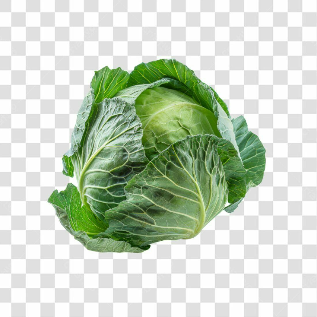 Icone Repolho Verde PNG com fundo transparente