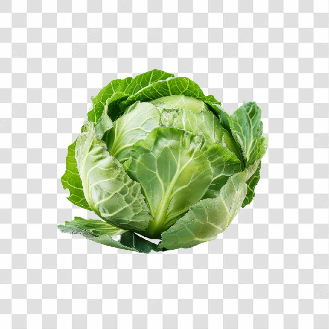 Icone Repolho Verde PNG com fundo transparente