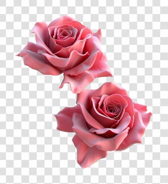 Imagem de uma rosa