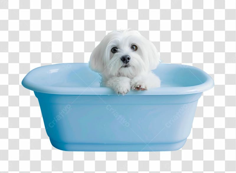 Imagem de um cachorro tomando banho em uma banheira