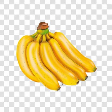 Cacho de bananas