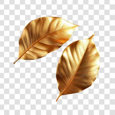 Folhas Douradas Png Transparente 