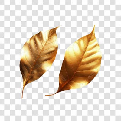 Folhas Douradas Png Transparente 