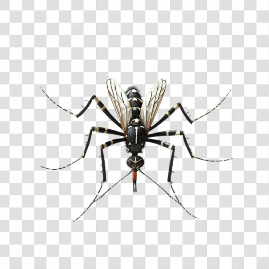 Icone Mosquito Preto e Branco PNG com fundo transparente
