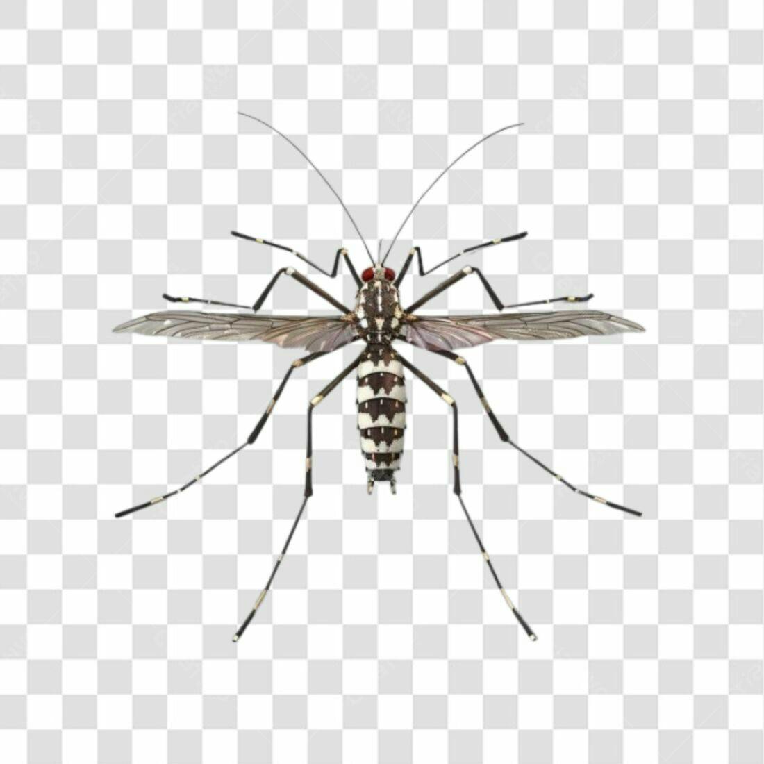 Icone Mosquito Preto e Branco PNG com fundo transparente