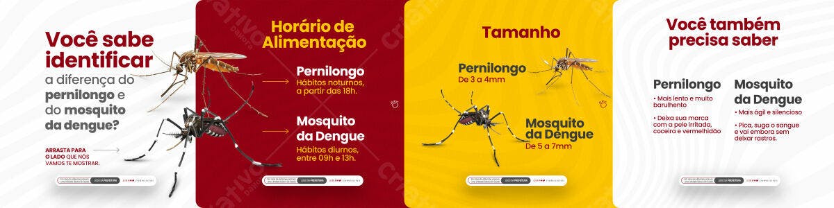 Post para Diferenças Pernilongo e Mosquito da Dengue PSD Editável