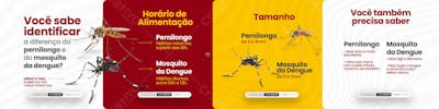 Carrossel   Diferença Do Pernilongo E Mosquito Da Dengue