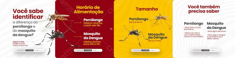 Carrossel diferença do pernilongo e mosquito da dengue