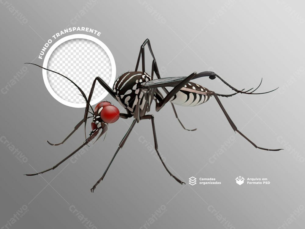Elemento 3D Mosquito De Doença