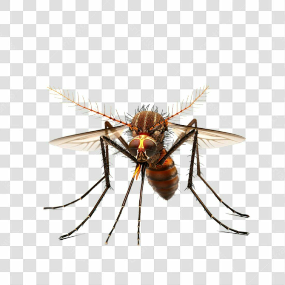 Icone Inseto Mosquito PNG com fundo transparente