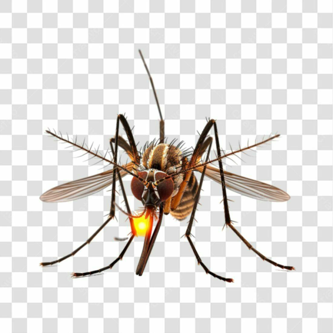 Icone Mosquito PNG com fundo transparente